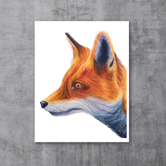 Red fox print 8x11"