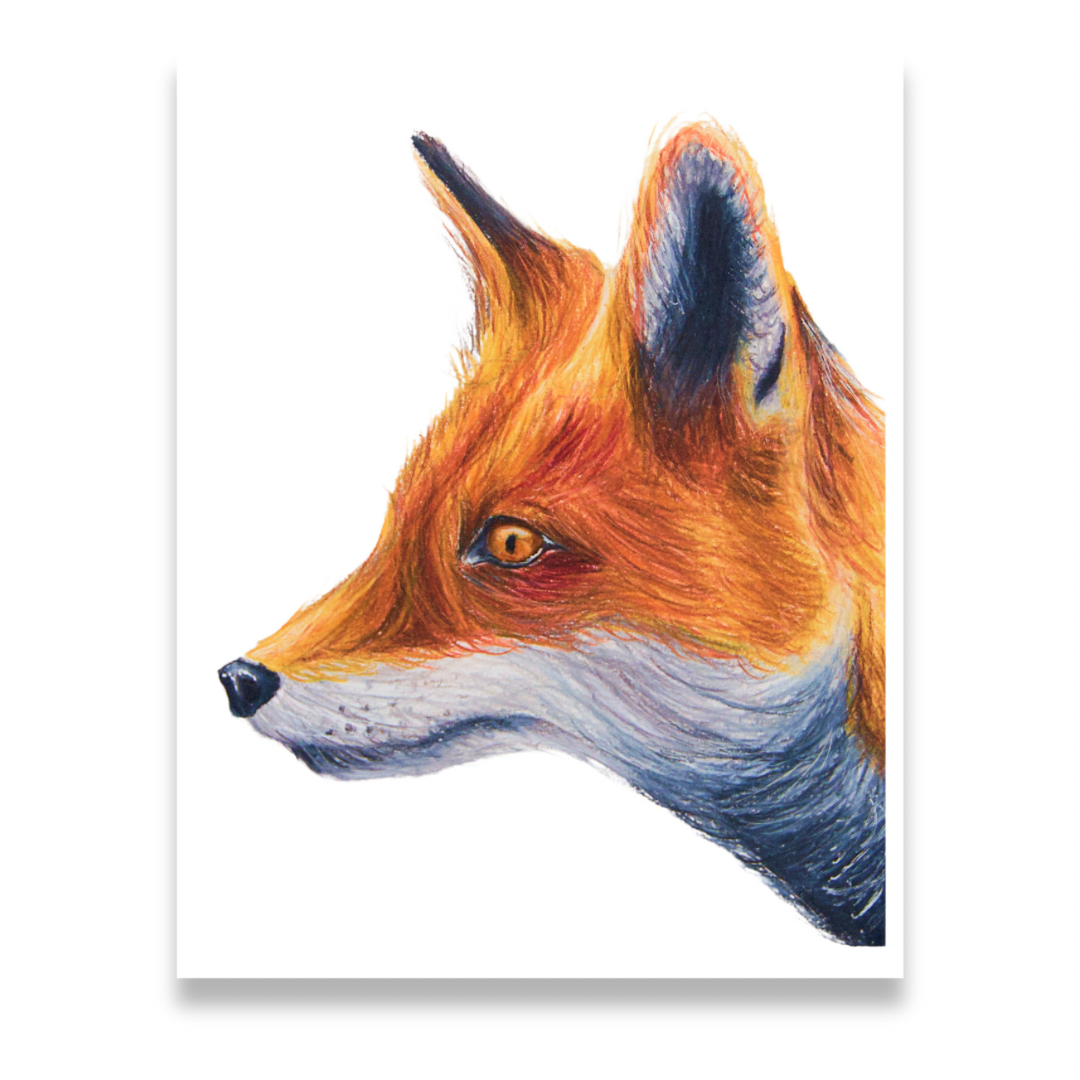 Red fox print